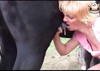 Compilation of the hottest blowjobs performed during zoo porn scenes