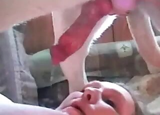 Kinky housewife organizes oral zoophile session with her aroused dog