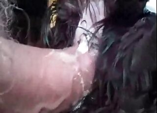 Perverted stud fucks dog's pussy in a kinky bestiality session