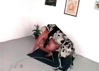 Huge dog cannot wait to fuck that sexy blonde really hard