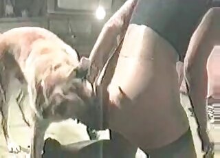 Black stockings zoophile turns around to suck on the dog's dick
