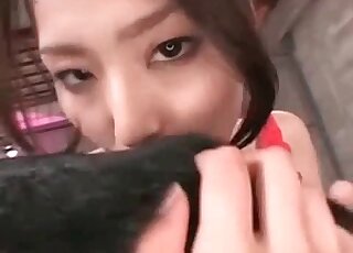 Red fishnets Japanese babe is not above eating this dog's asshole