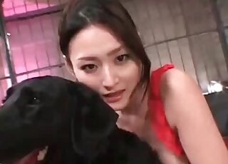 Gorgeous Asian brunette in red tries to seduce her sexy dog here