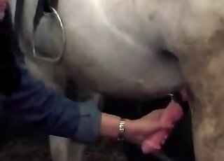 Seemingly timid lady in blue starts tugging on a horse cock here