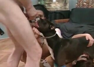 Clearly aroused couple fucking a dog's mouth in a taboo threesome