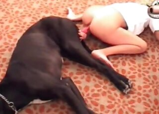 Super-attractive babe with a round ass fucking a black mutt here