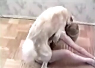 White fur dog is going to fuck an innocent, pale-skinned teen