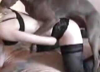 Blonde in black panties dealing with this dog's firm penis on cam