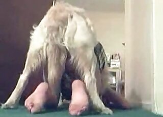 Skinny babe with sexy legs gets pounded on all fours to orgasms