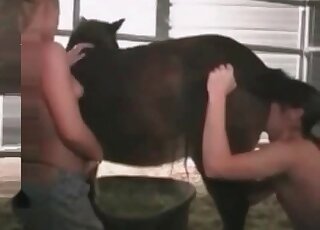 Fair-haired diva fucks a mare alongside her zoophilic boyfriend here