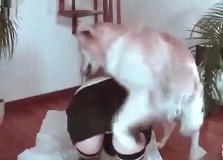 Black skirt beauty shows off to make the dog desire her even more