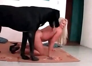 Huge black dog is about to fuck that horny blonde from behind