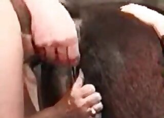 Sexy guy's cock slides inside a mare's pussy and cums all over it too