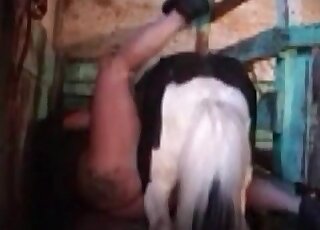 Pony porn movie showing a chubby MILF that bangs a hot animal