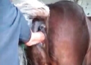 Spoiled slut fists a deep asshole of a horse in a beastiality porn scene