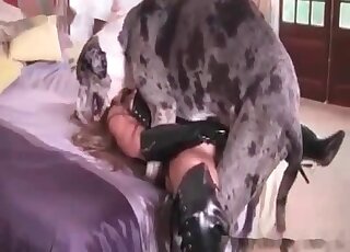 Huge dalmatian dog fucks a perverted chick in a missionary position