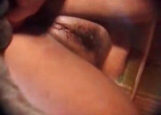 Big canine fucks holes of a slutty chick and gets cock sucked