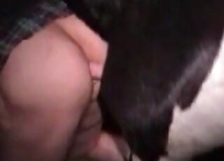 Mature bitch gets impaled on a huge stallion’s dick in a zoo scene