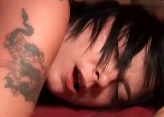 Closeup zoo fuck of a cute sex girl and her horny canine