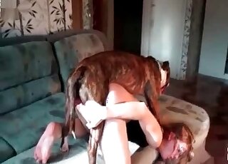 Active dog explores tight holes of a pretty chick in a zoo sex vid