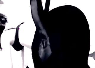 Trained dog quickly finds a juicy pussy of a brunette to fuck