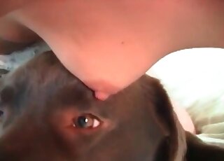 Spoiled wife makes her amazed dog smell at her needy twat