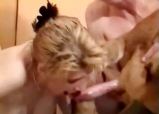 Big dig of a dog gets passionately sucked by an aroused zoophile slut