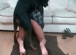 Huge horny canine explores needy holes of a dirty-minded housewife