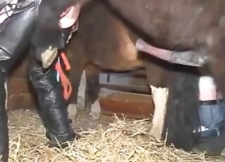 Pony bangs hot cunt of a wild perverted wife in the barn