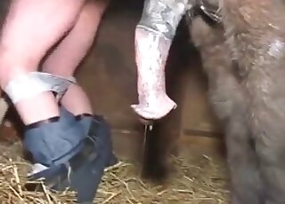 Pony bangs hot cunt of a wild perverted wife in the barn