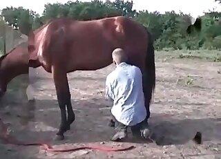 Dude can’t get enough of stallion’s cock in beastiality porn video
