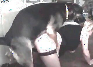 Mature vixen doesn’t mind getting pounded by a horny canine