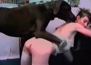 Massive black dog likes fucking tight holes of a cute hottie