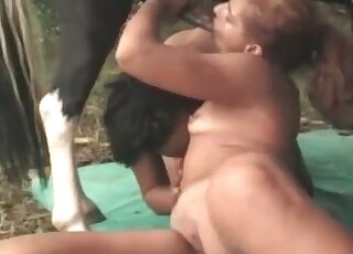 Latina bimbos share a stallion’s giant cock sucking it without limits