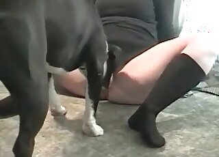 Lonely mature bitch shows big ass to her dog and teases its cock
