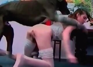 Teen skinny sex doll gets her tight pussy crushed up by a dog’s dick