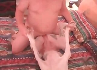 Fat guy involves his dog into a hardcore bestiality sex action