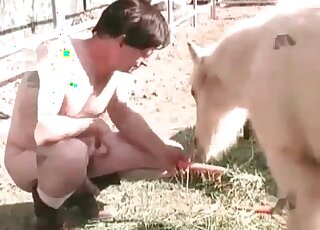Dude treats his sexual passion by fucking a pony from behind