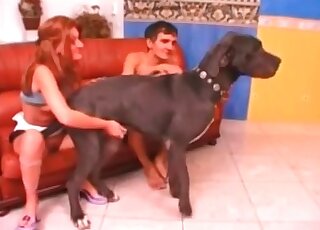 MMF threesome tease a dog and go for its hard cock in a hot scene