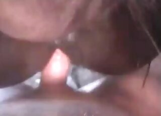 Closeup animal porn scene of a perverted dude fucking a horse