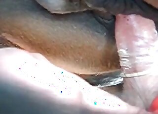 Bestiality sex obsessed guy cannot stop fucking a big horse