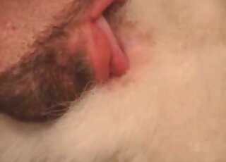 Guy fingers his dog while she is lying on her back with paws spread