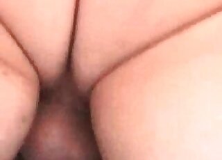 Perverted dude fucks a horse hard to treat his wild sexual tension