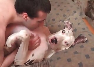 Dog didn’t expect a crazy pervert drill its tight pussy like insane