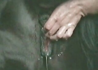 Weird pervert gives some intense fisting to a horse in a zoo porn scene