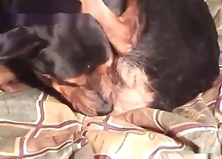 Crazy guy enjoys sexual intercourse with his dog in the bedroom