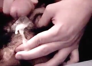 Dude bangs his dog and after that delivers creampies on its body