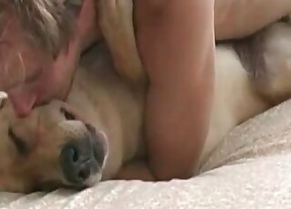 Dog stays immobile while a horny zoophile drills its pussy