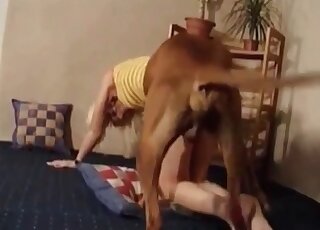 Trained dog fucks a cute MILF hard and fast to make her get orgasm