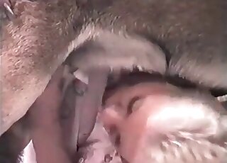 Short-haired mature sucks her dog’s cock insanely and rides it hard